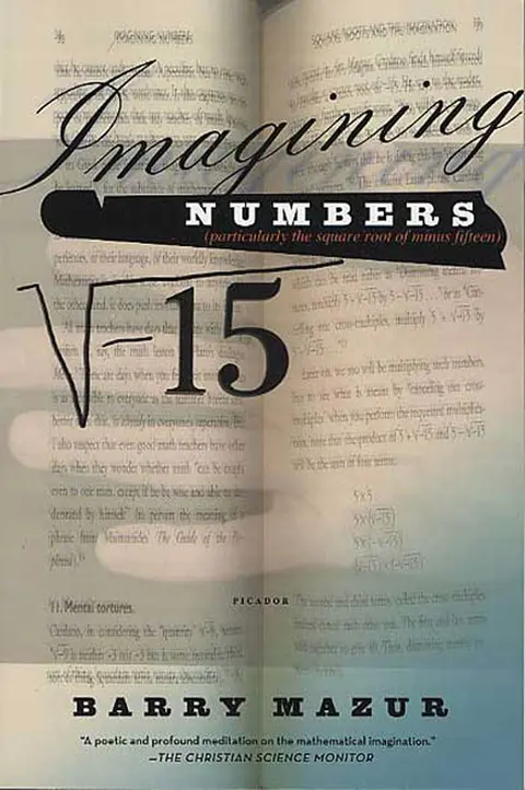 Cover of Imagining Numbers