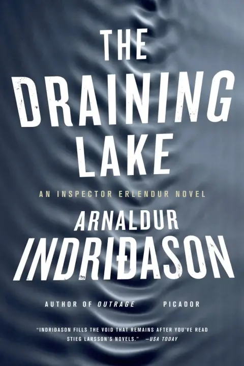 Cover of The Draining Lake