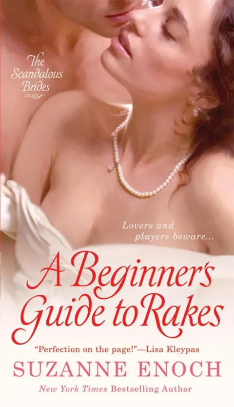 Cover of A Beginner's Guide to Rakes
