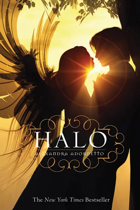 Cover of Halo