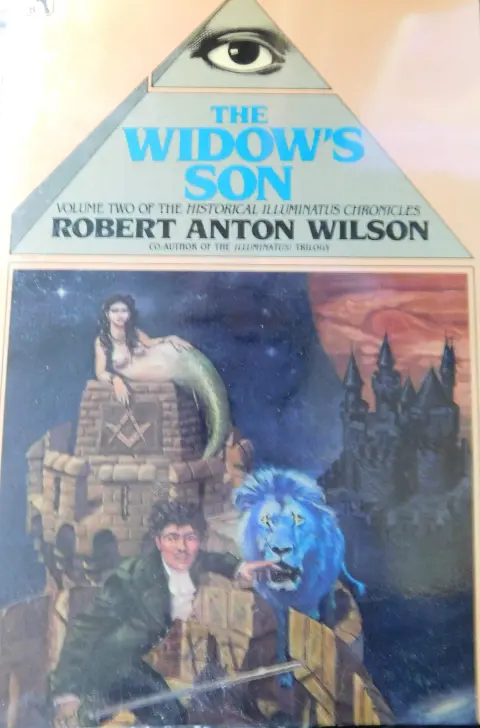 Cover of The Widow's Son