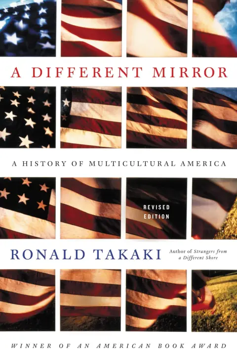 Cover of A Different Mirror