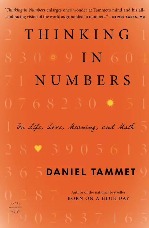 Cover of Thinking in Numbers