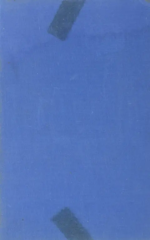 Cover of The devil and John Foster Dulles