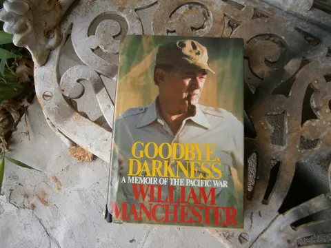 Cover of Goodbye, Darkness