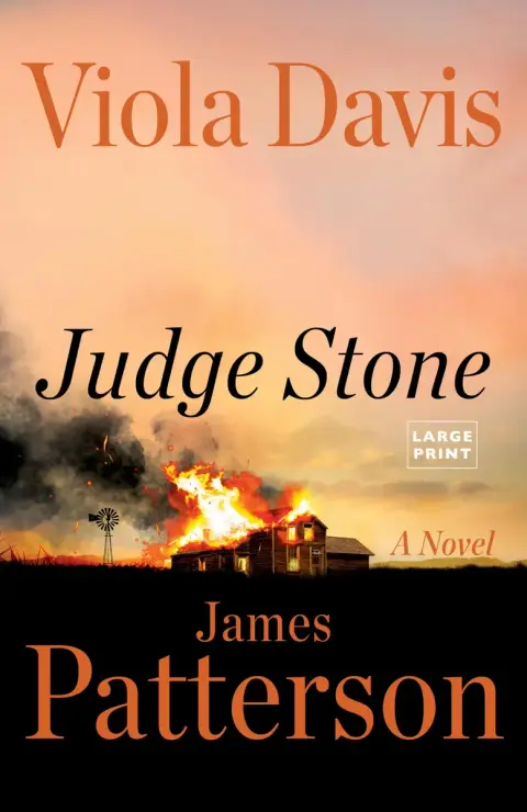 Cover of Judge Stone