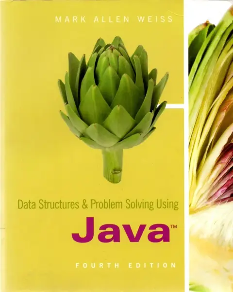 Cover of Data Structures & Problem Solving Using Java