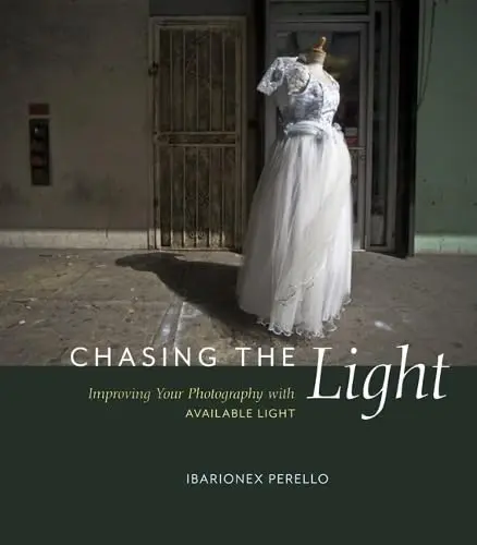 Cover of Chasing the Light