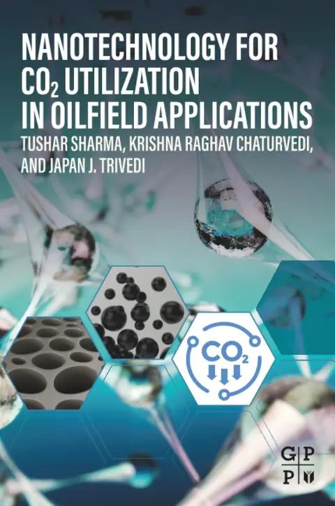 Cover of Nanotechnology for Co2 Utilization in Oilfield Applications