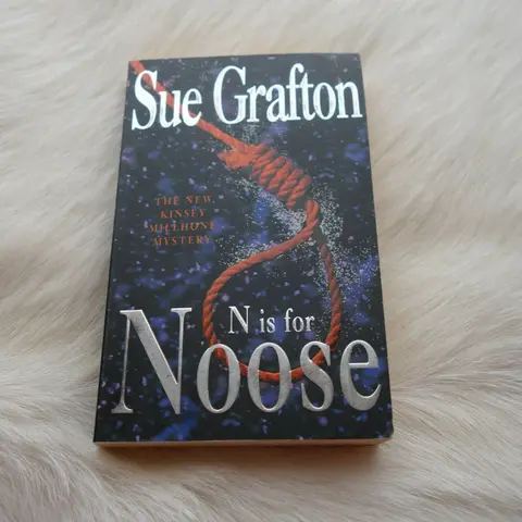 Cover of N is for Noose
