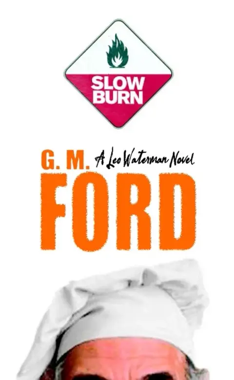 Cover of Slow Burn