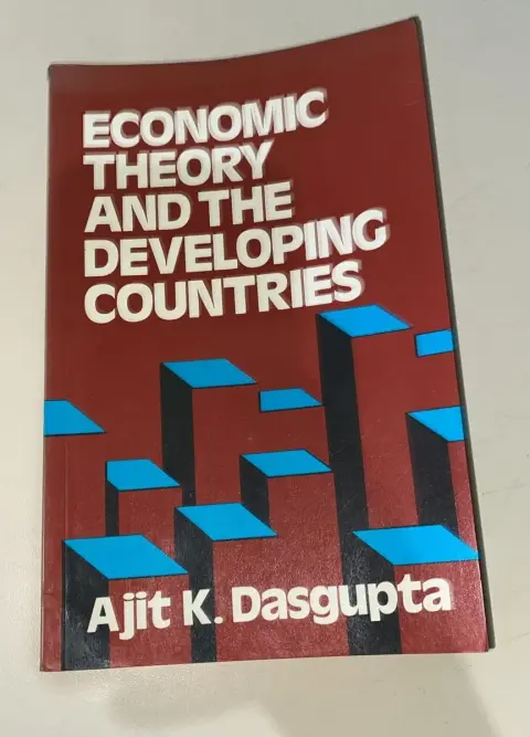 Cover of Economic Theory and the Developing Countries