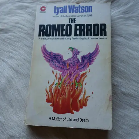Cover of Romeo Error