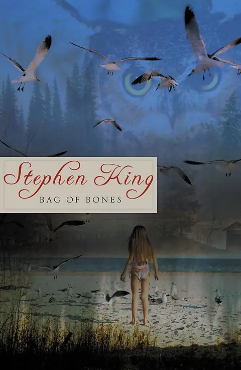 Cover of Bag of Bones