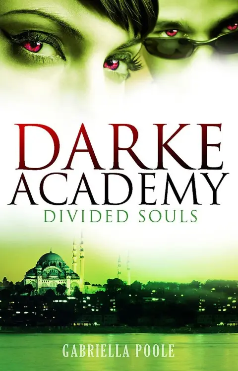 Cover of Divided Souls
