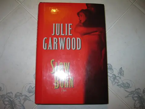 Cover of Slow Burn