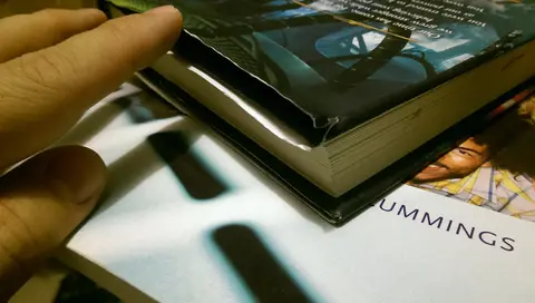 Cover of Deceived