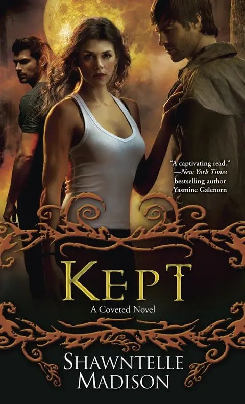 Cover of Kept