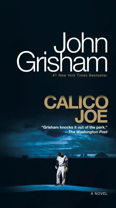 Cover of Calico Joe