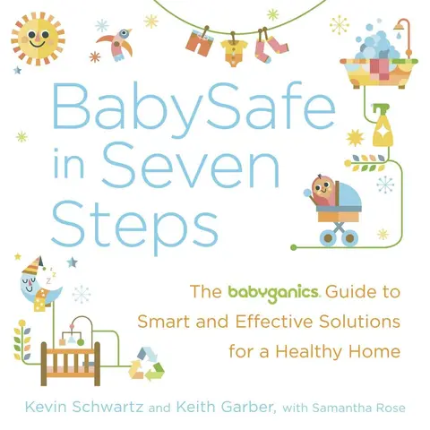 Cover of BabySafe in Seven Steps