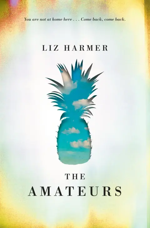 Cover of The Amateurs