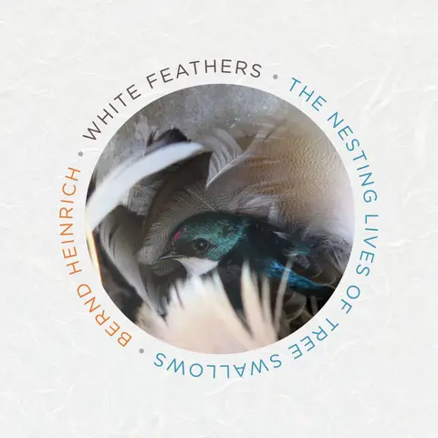 Cover of White Feathers