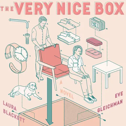 Cover of The Very Nice Box