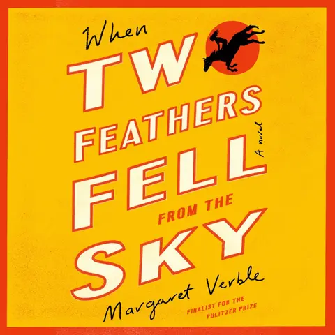 Cover of When Two Feathers Fell from the Sky