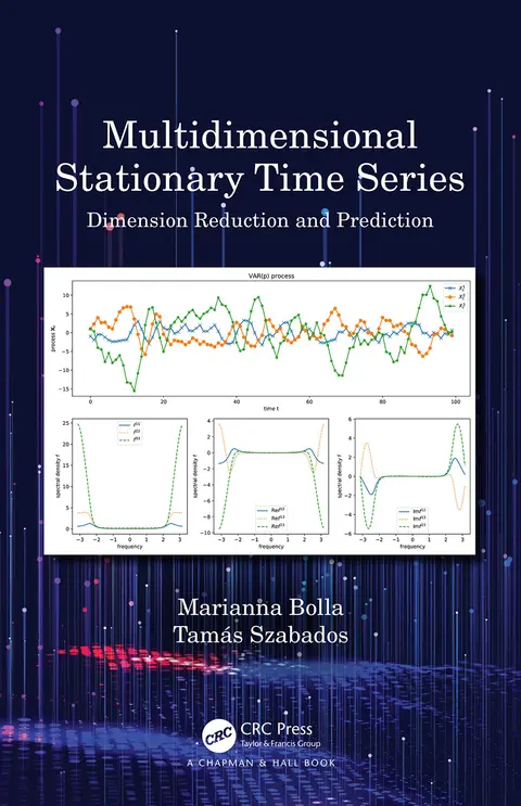 Cover of Multidimensional Stationary Time Series