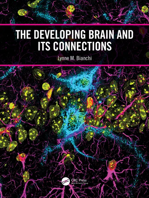 Cover of The Developing Brain and Its Connections