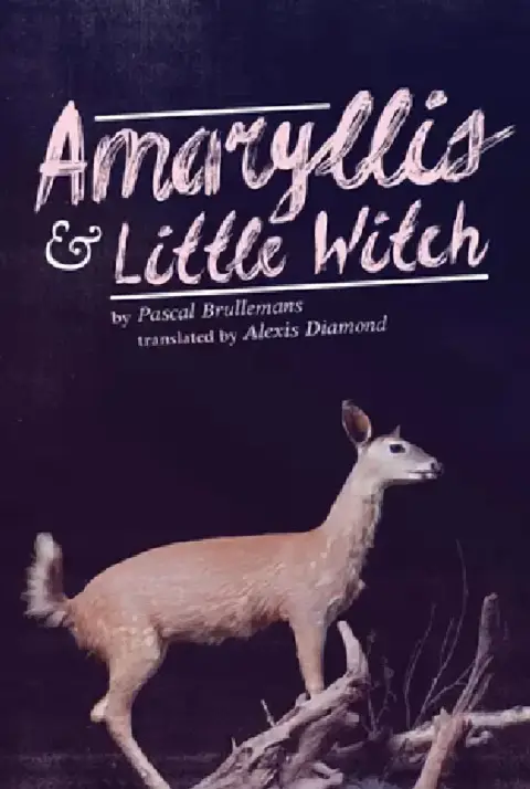 Cover of Amaryllis & Little Witch