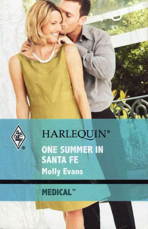 Cover of One Summer in Santa Fe