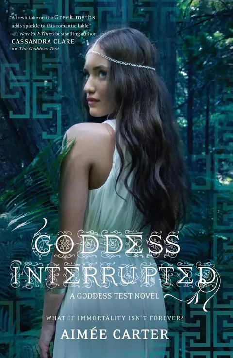 Cover of Goddess Interrupted