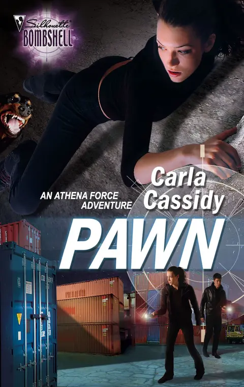 Cover of Pawn