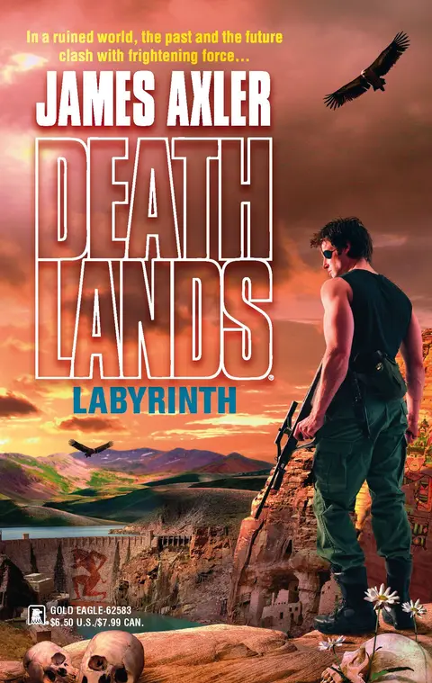 Cover of Labyrinth