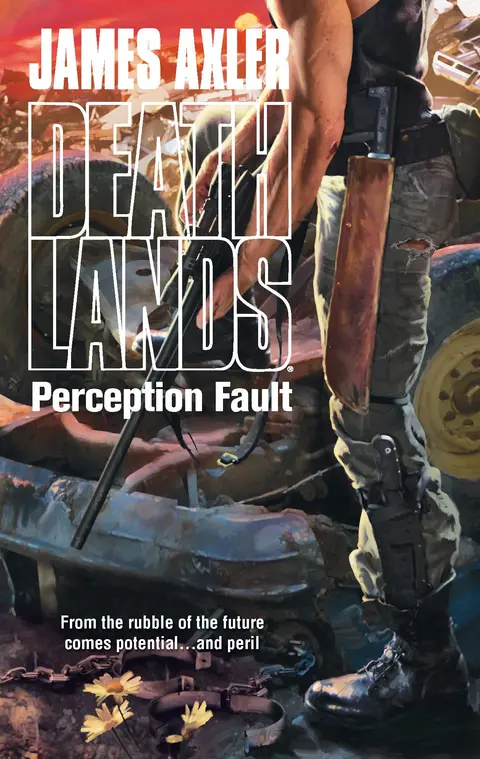Cover of Perception Fault