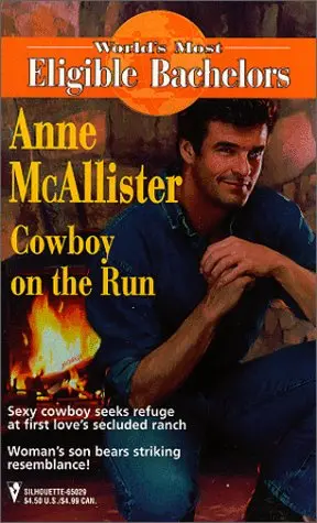 Cover of Cowboy on the Run