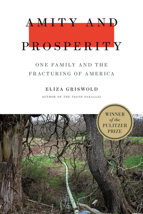 Cover of Amity and Prosperity