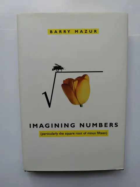 Cover of Imagining Numbers