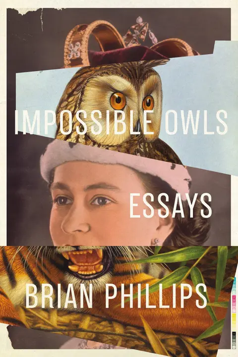 Cover of Impossible Owls
