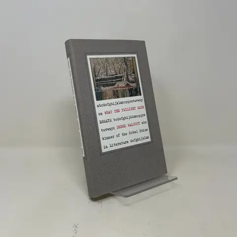 Cover of What the Twilight Says