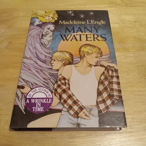 Cover of Many Waters
