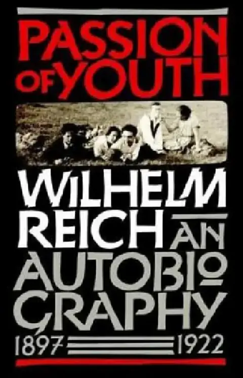 Cover of Passion of Youth