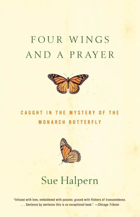 Cover of Four Wings and a Prayer
