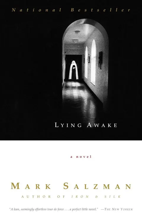 Cover of Lying Awake