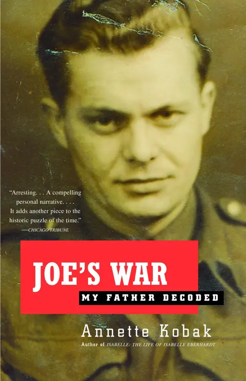 Cover of Joe's War