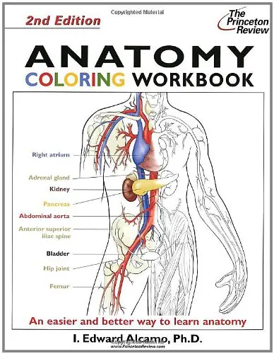 Cover of Anatomy Coloring Workbook, Second Edition