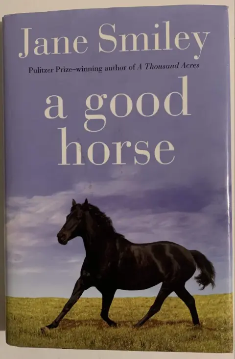 Cover of A Good Horse