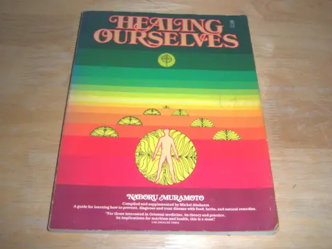 Cover of Healing Ourselves