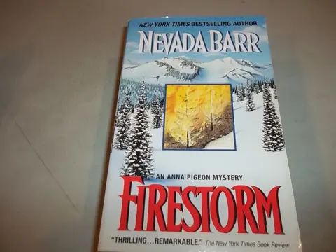 Cover of Firestorm